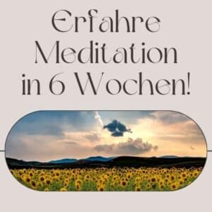 Meditationskurs - Start 06.05.26 im Ananda Köln City Center