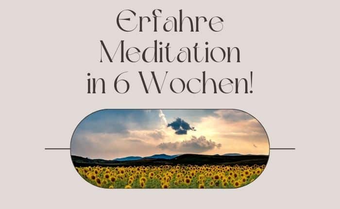 Meditationskurs – Start 26.02.26 im Ananda Köln City Center